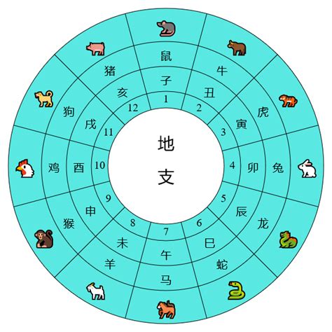 天干地支圖|《天干地支》對照表及運用方法